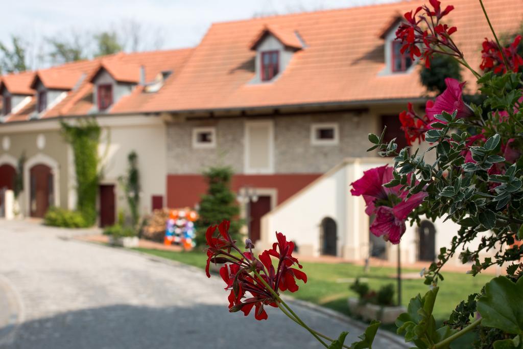 Dvur Hoffmeister Velké Číčovice
